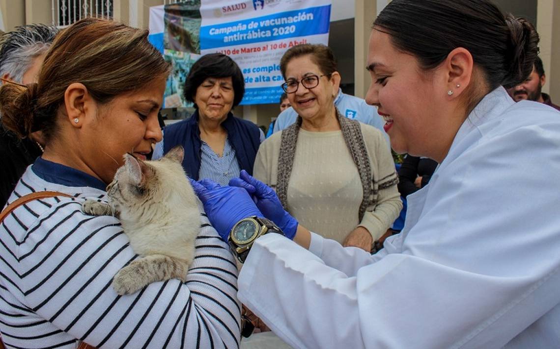Definen Fechas De Vacunación Antirrábica Noticias De Delicias El Heraldo De Chihuahua 5549